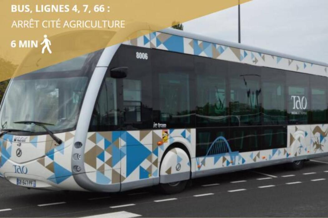 Le Saint Hilaire *T2* Lejlighed Orléans Eksteriør billede